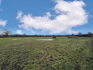 Photo 5- click for photo gallery